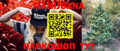 ECSTASY Нальчик